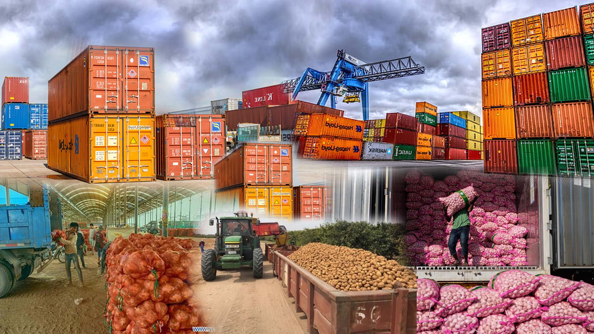 Kamdhenu Agri Exports